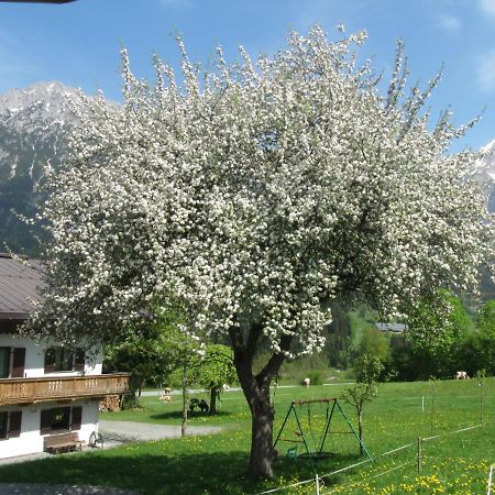 Bauernhof Neu-Endfelden, Guenter Widauer Villa Söll Buitenkant foto