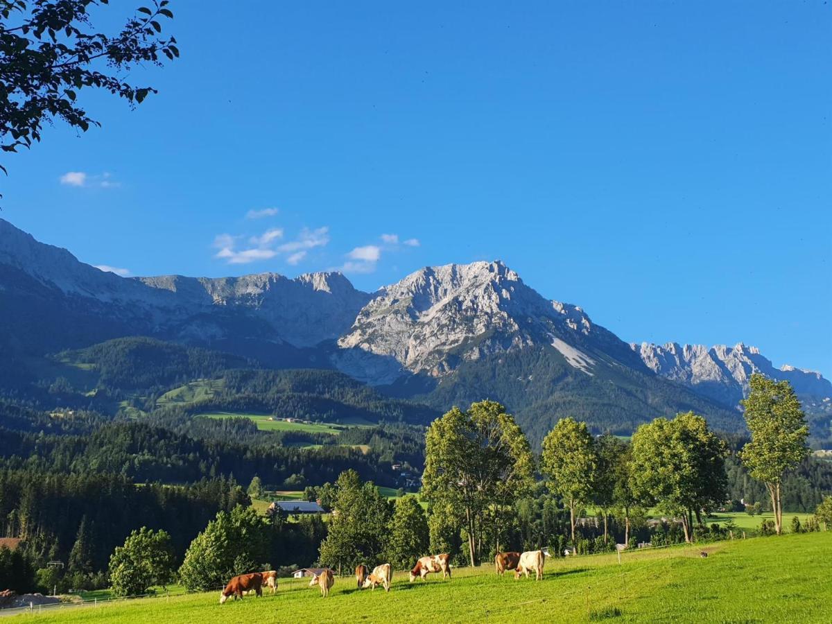 Bauernhof Neu-Endfelden, Guenter Widauer Villa Söll Buitenkant foto